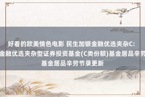 好看的欧美情色电影 民生加银金融优选夹杂C: 民生加银金融优选夹杂型证券投资基金(C类份额)基金居品辛劳节录更新