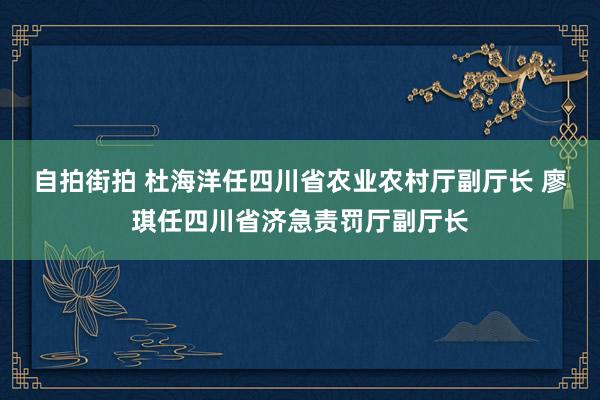 自拍街拍 杜海洋任四川省农业农村厅副厅长 廖琪任四川省济急责罚厅副厅长