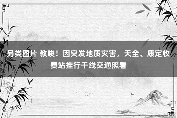 另类图片 教唆！因突发地质灾害，天全、康定收费站推行干线交通照看