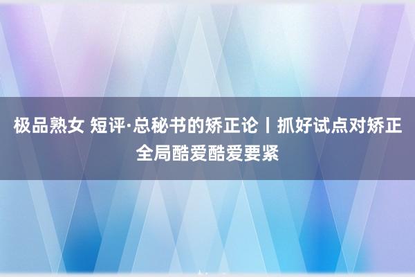 极品熟女 短评·总秘书的矫正论丨抓好试点对矫正全局酷爱酷爱要紧