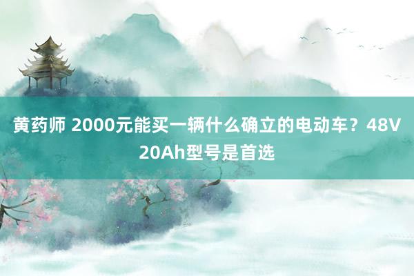 黄药师 2000元能买一辆什么确立的电动车？48V20Ah型号是首选