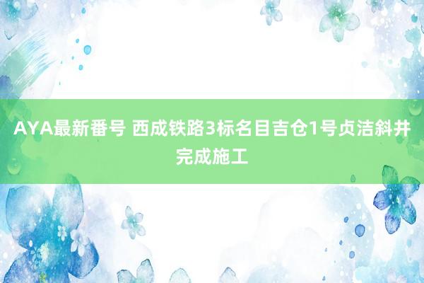 AYA最新番号 西成铁路3标名目吉仓1号贞洁斜井完成施工