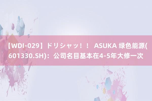 【WDI-029】ドリシャッ！！ ASUKA 绿色能源(601330.SH)：公司名目基本在4-5年大修一次