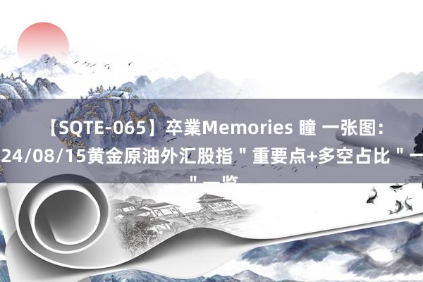 【SQTE-065】卒業Memories 瞳 一张图：2024/08/15黄金原油外汇股指＂重要点+多空占比＂一览