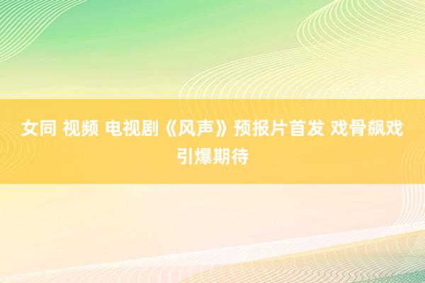 女同 视频 电视剧《风声》预报片首发 戏骨飙戏引爆期待