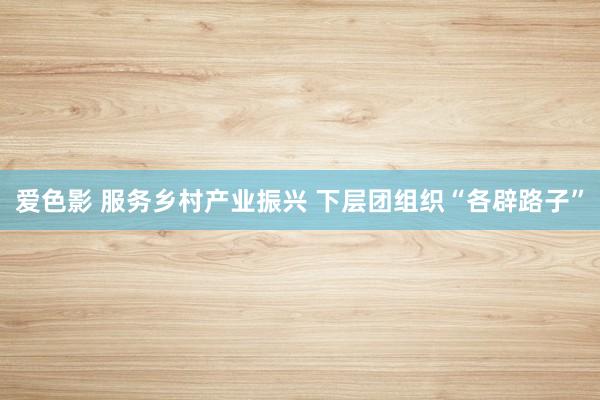 爱色影 服务乡村产业振兴 下层团组织“各辟路子”