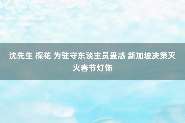 沈先生 探花 为驻守东谈主员蛊惑 新加坡决策灭火春节灯饰