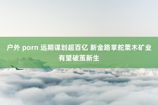 户外 porn 远期谋划超百亿 新金路掌舵栗木矿业有望破茧新生